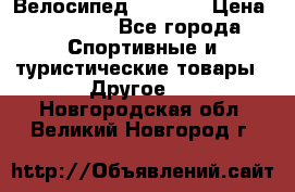 Велосипед Viva A1 › Цена ­ 12 300 - Все города Спортивные и туристические товары » Другое   . Новгородская обл.,Великий Новгород г.